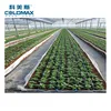 PE greenhouse used drip irrigation belt