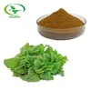 /product-detail/100-natural-nettle-leaf-extract-stinging-nettle-extract-powder-nettle-leaf-tea-60636854445.html
