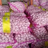 /product-detail/dry-garlic-price-in-china-garlic-importers-mesh-bag-garlic-red-60671250706.html