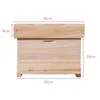 Factory Supply One Level Bee Hive/fir Wood Beehive