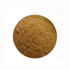 Gmp & ISO factory natural health White Mushroom Extract,Cap fungus Extract