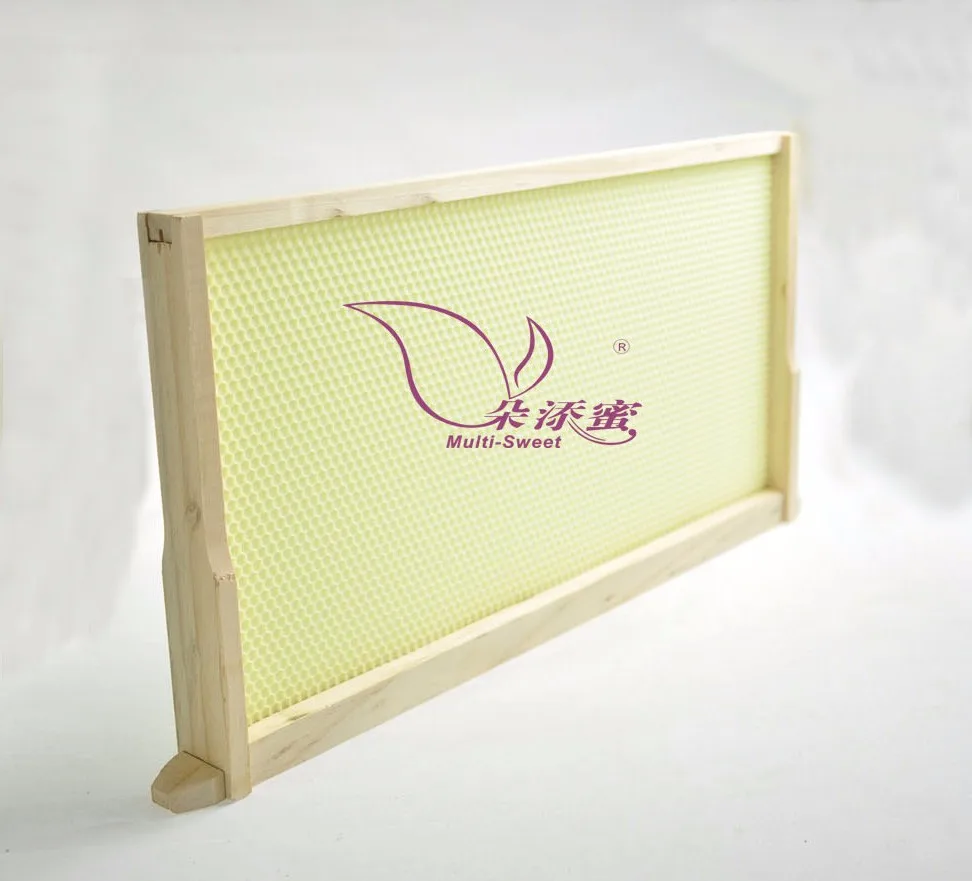 frame 03.jpg