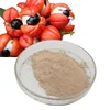 /product-detail/customized-low-moq-nlt-20-caffeine-paullina-cupana-powder-extract-guarana-62009592455.html