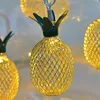 2018 new arrival home decoration led chinese lantern timed battery operated powder string /fairy /garland light
