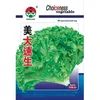 /product-detail/high-quality-green-lettuce-seeds-for-growing-american-big-fast-60275484956.html