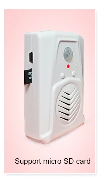 USB Programmable PIR Sensor Museum Shop MP3 Audio Player - ANKUX.COM