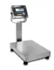 China High Quality SUS304 Stainless Steel Digital Electronic Weighing Balance Platform Scale