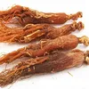 Pure Natural Plant Chinese Herb Oriental Ginseng Dried Red Ginseng Raw Chinese Herbs