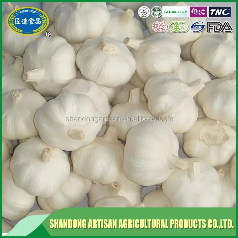 China directly sale 6cm fresh garlic top manufacturer