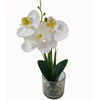 /product-detail/factory-price-single-stem-artificial-flowers-cymbidium-orchid-potted-in-small-glass-cup-60837381245.html