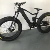 2019 High Quality Electric full suspension Bike Carbon FIber Fat Tire and 1000W mid drive Best Value with Good Price