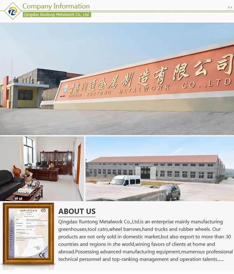 Modern Agricultural Durable Poly Film Glass Greenhouse