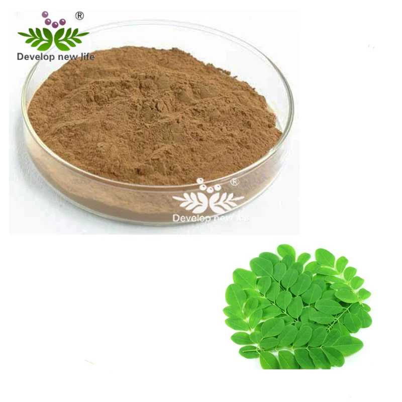 Miracle plant organic moringa oleifera leaf powder for buyers free sample