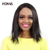Yotchoi 100% Brazilian Remy Hair Side Parting Straight Lace Front Wig