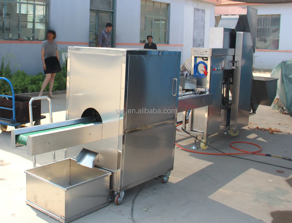 onion peeler,onion peeler machine,automatic onion peeler,onion peeling machine 2