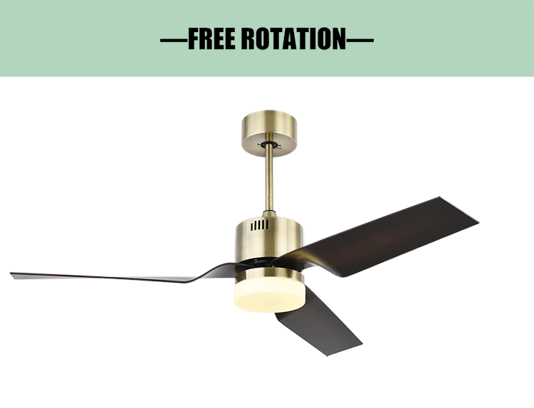 Https Encrypted Tbn0 Gstatic Com Images Q Tbn 3aand9gcqaz5tkjxjrg1zjj9mddvyqggbukft9tx7f6gpdt0pjg7harlja