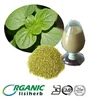 Natural plant extract Oregano Leaf extract (Origanum vulgare extract)/Oregano P.E.