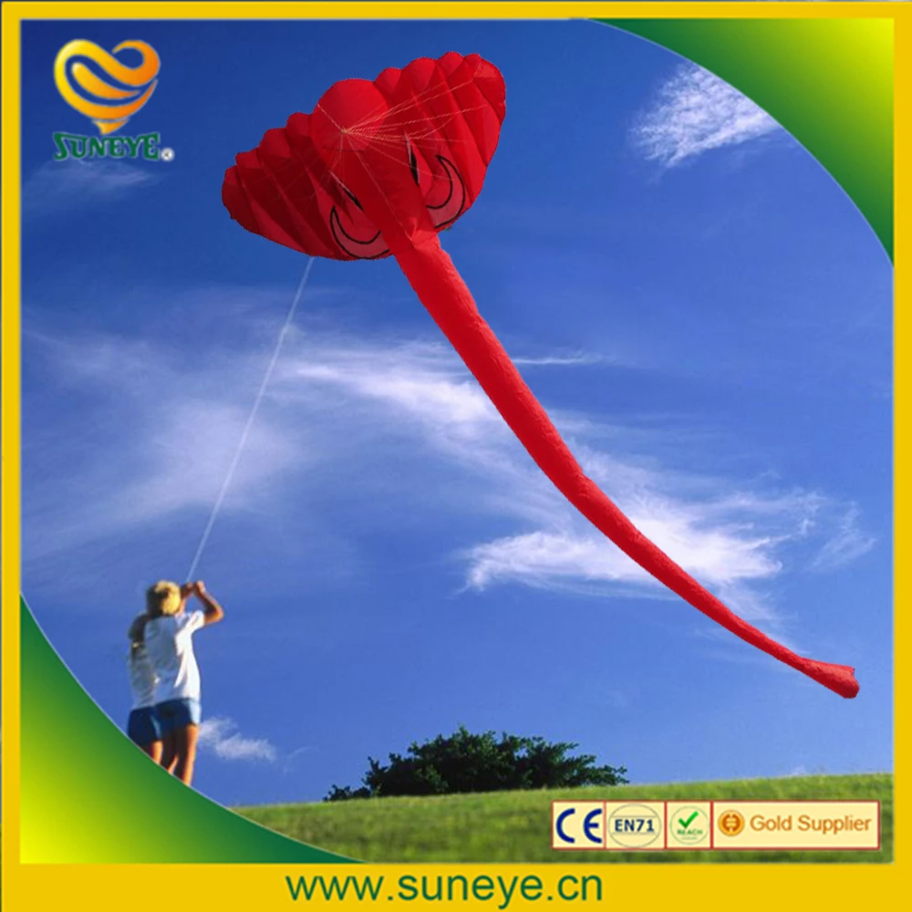 New High Quality Nylon ClothPower Windsock For Pilot kites and Outdoor Flying Kite Festival