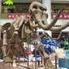 KANOSAUR3494 Giant Fairground Equipped Life-Size Animal Skeleton Model