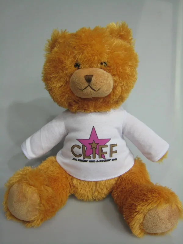 30cm Plush Soft Bear Toy Customizable T-Shirt Print Cute Style PP Filling for Promotion and Gifts