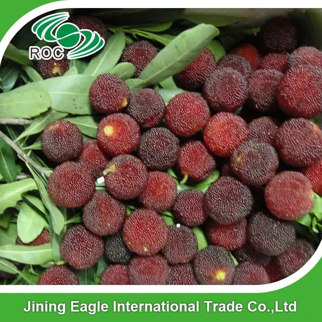 new season waxberry chinese strawberry red yangmei bayberry