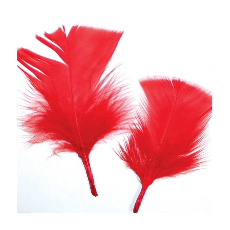 Wholesale Hot Sales Decorative Craft Feathers Turkey Peacock Goose