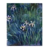 Decorative Art Canvas Irises Monet Impressionist Oil Painting on Canvas