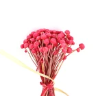 Wedding Decor natural Flower Mushroom grass mini small dry flower dried