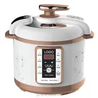 Hot sell 5L Multi stainless steel pressure cooker appliances