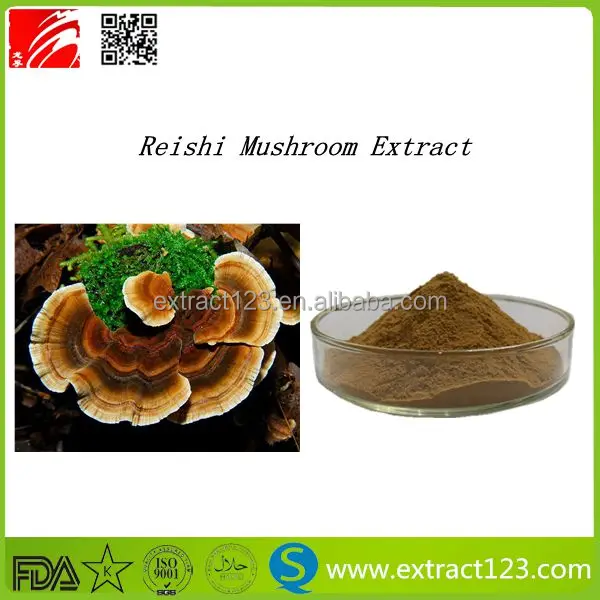 e. extraction price red reishi mushroom