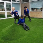 Factory price of artificial grass carpet
