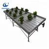 Self Watering Veggie Table Fixed Greenhouse Nursery Bench