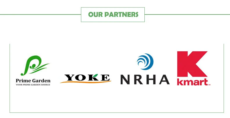 water spray gun  (6).jpg