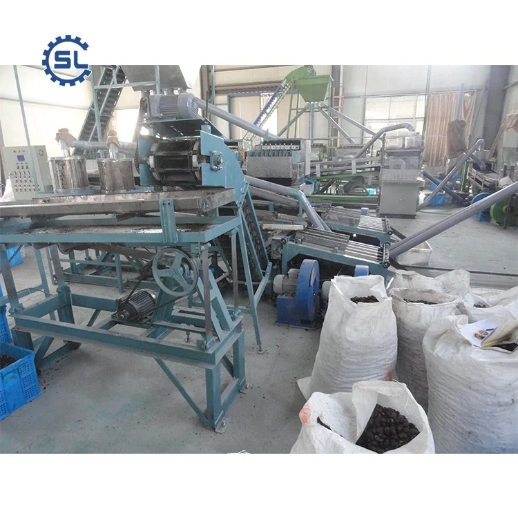 cashew nut processing plant