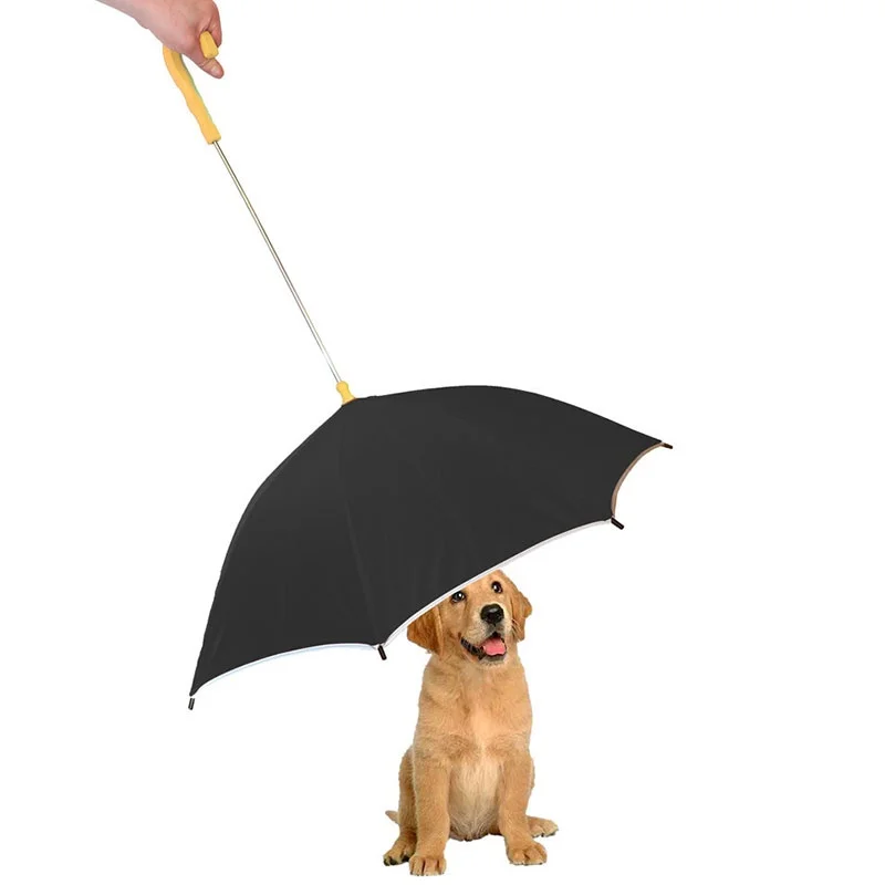 pet dog umbrella.jpg