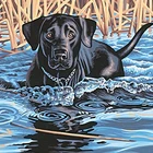 GZ423- 40*50 diy cute swimming dog canvas african art diamond painting for living room