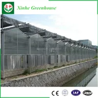 Advanced Hydroponics Agricultural Commercial PC Greenhouse
