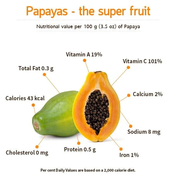 100% organic dry papaya fruit powder in bulk