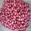 Chinese Red skin Peanut kernels with good quality for sale