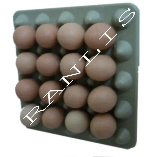 Tray Of Eggs With Magnet