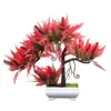 /product-detail/bonsai-natural-artificial-plants-and-trees-artificial-plants-fern-60843739823.html