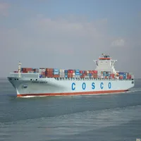 Top Shipping Alin Senstive Goods Sea