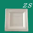 disposable bagasse pulp 10 inch square plate