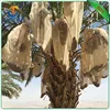 Best packing date mesh bag for date palm tree can be customized