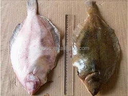 frozen sole-yellow fin fish