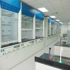 Hot Sale High Quality furniture Chemical Laboratory Full Steel Table Top Fume Cupboards chemistry laboratory fume hood