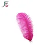 Wholesale 60cm Dyed Fuchsia Color Natural Ostrich Feather Cheap For Wedding Decoration