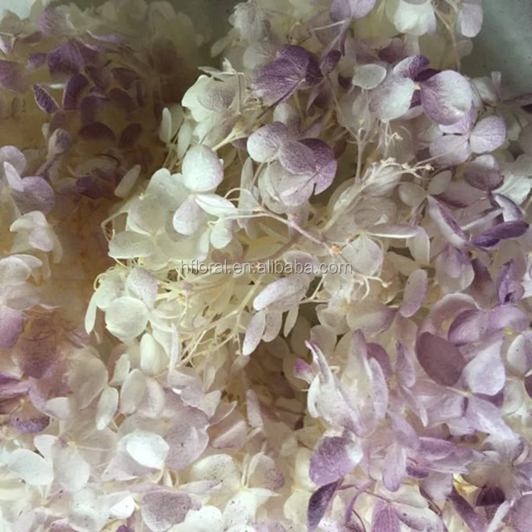 preserved moss hydrangea flowers 25g wedding anniversary gift