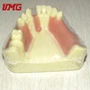 /product-detail/factory-supply-attractive-price-dental-implant-model-60718632731.html