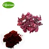 10:1 hibiscus flower extract /hibiscus sabdariffa /hibiscus extract